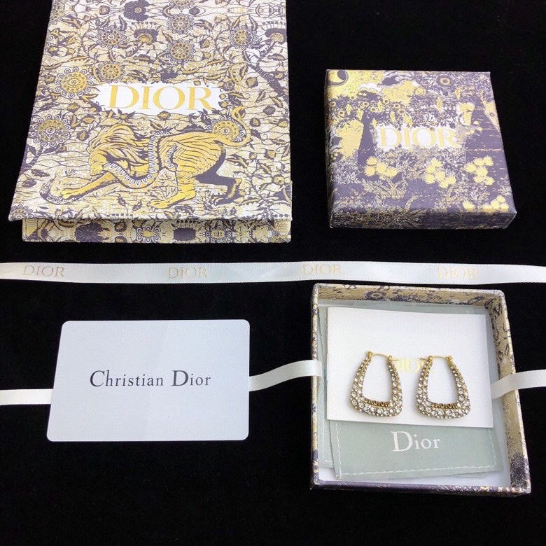 Christian Dior Earrings